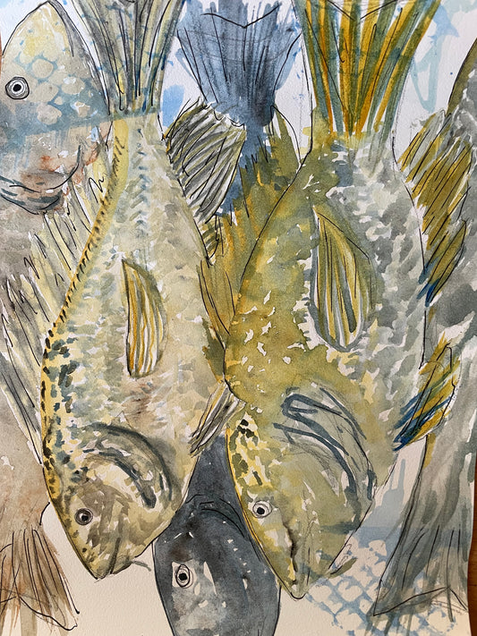 Gone fishing